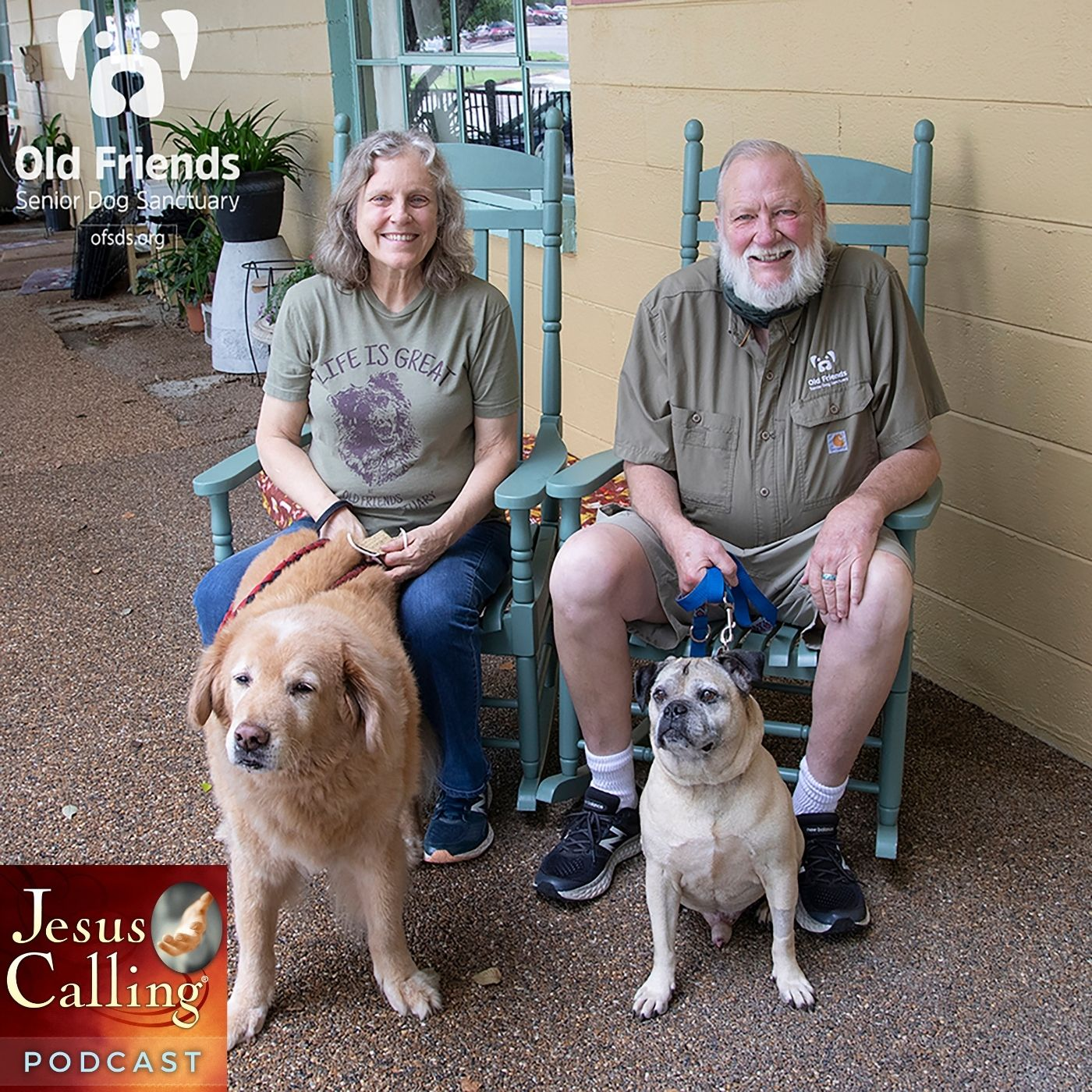 Giving Love Away, Getting More Back: Old Friends Senior Dog Sanctuary & Beth Guckenberger