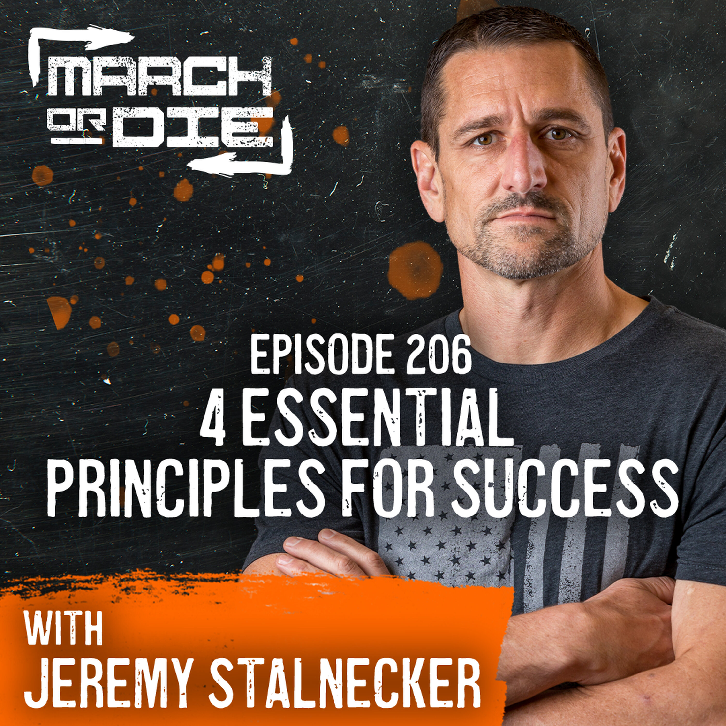 4 Essential Principles for Success: Overcome Challenges & Press Forward