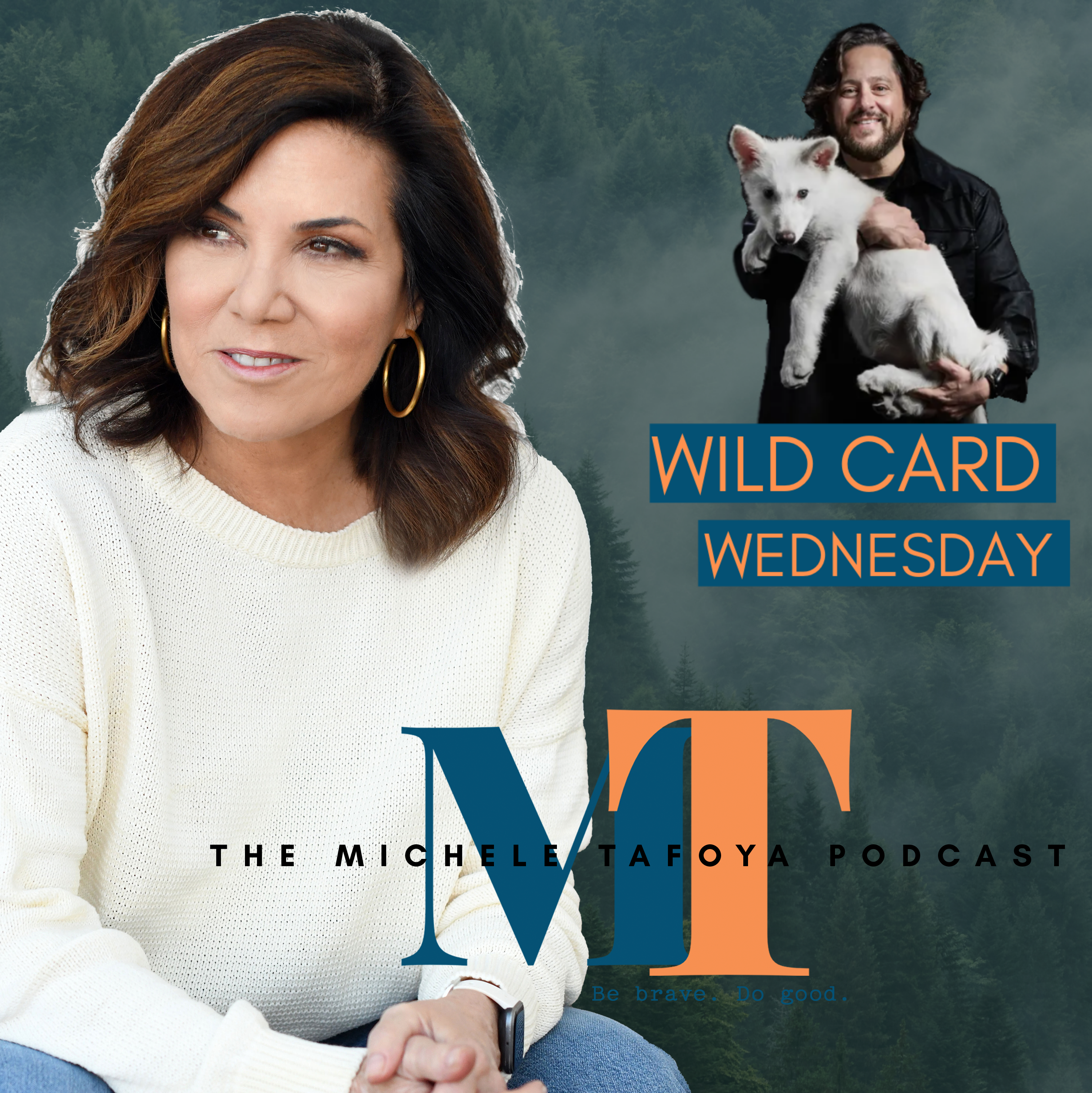 cover of episode A Dire Wolf and a Dire Warning: Wildcard Wednesday