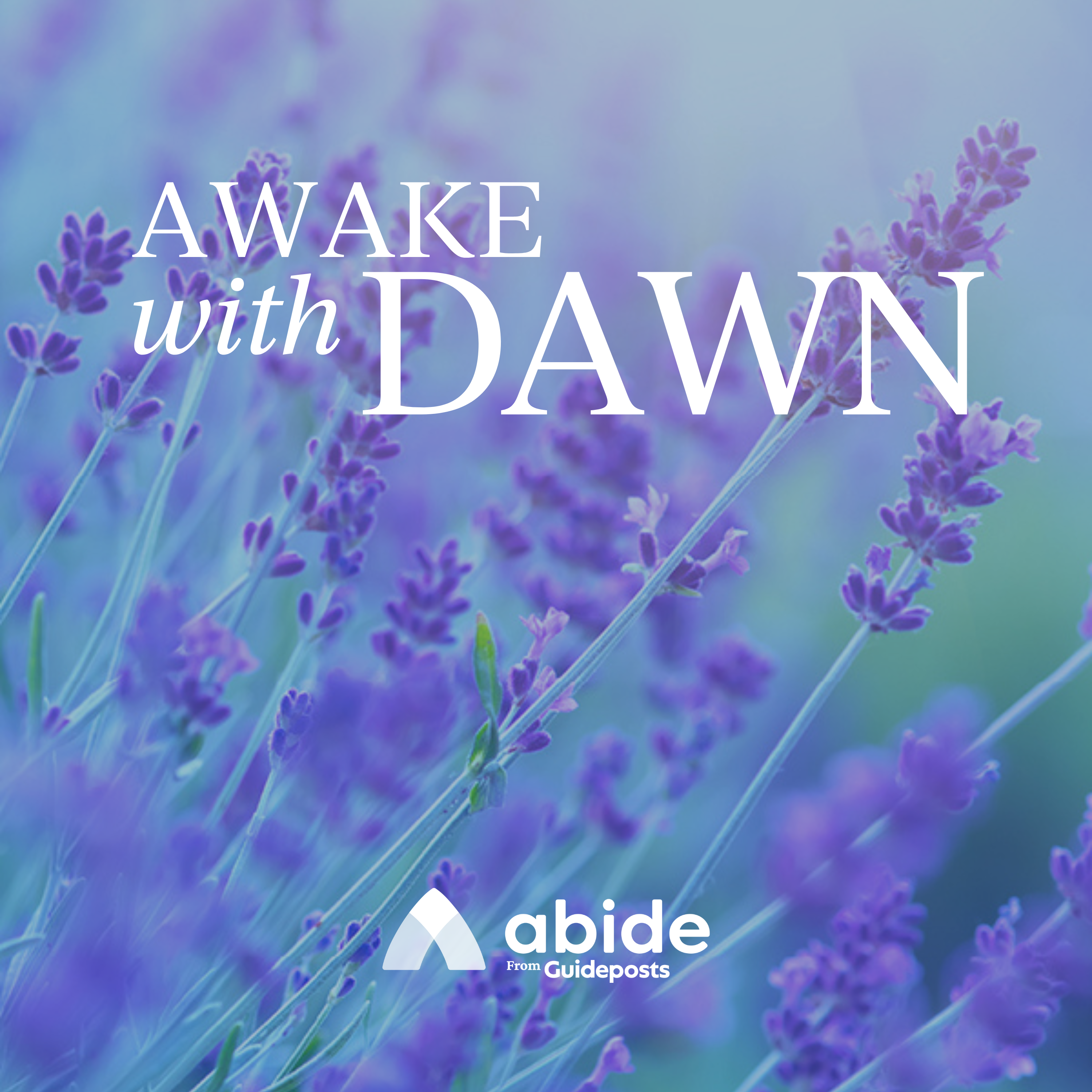 Mornings with Jesus