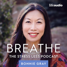 Episode 1: The Toll Stress and Busyness Take on You