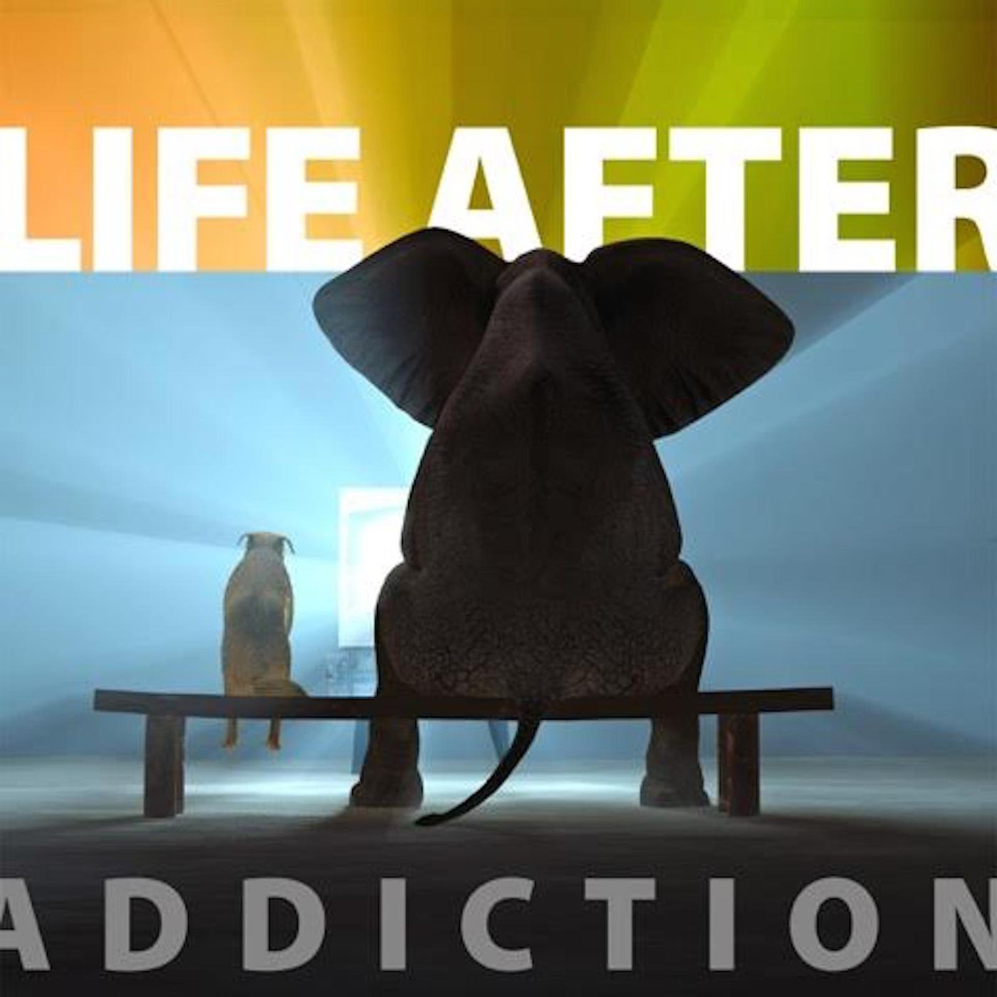 Life After Addiction episode artwork