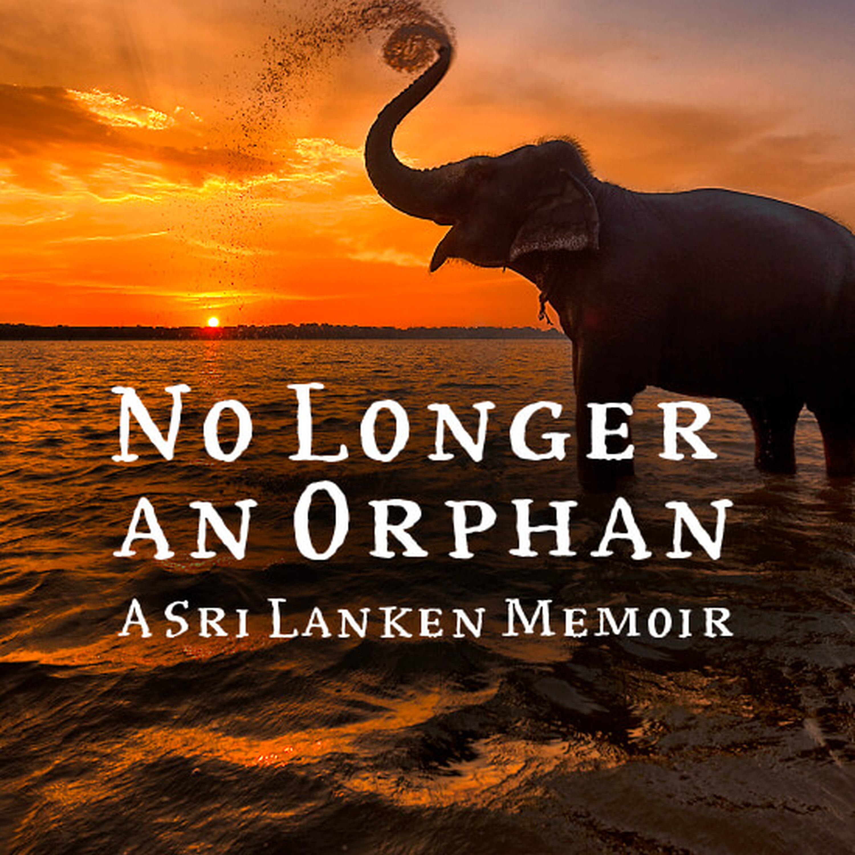 No Longer an Orphan-A Sri Lankan Memoir No Longer an Orphan-A Sri Lankan Memoir