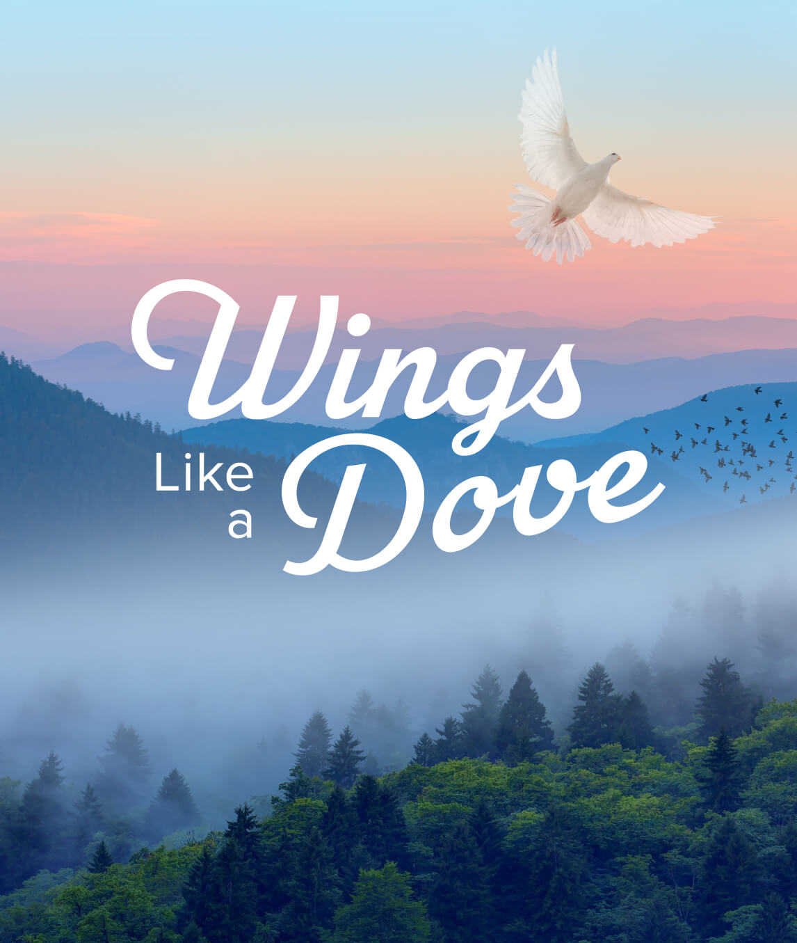 Wings Like a Dove
