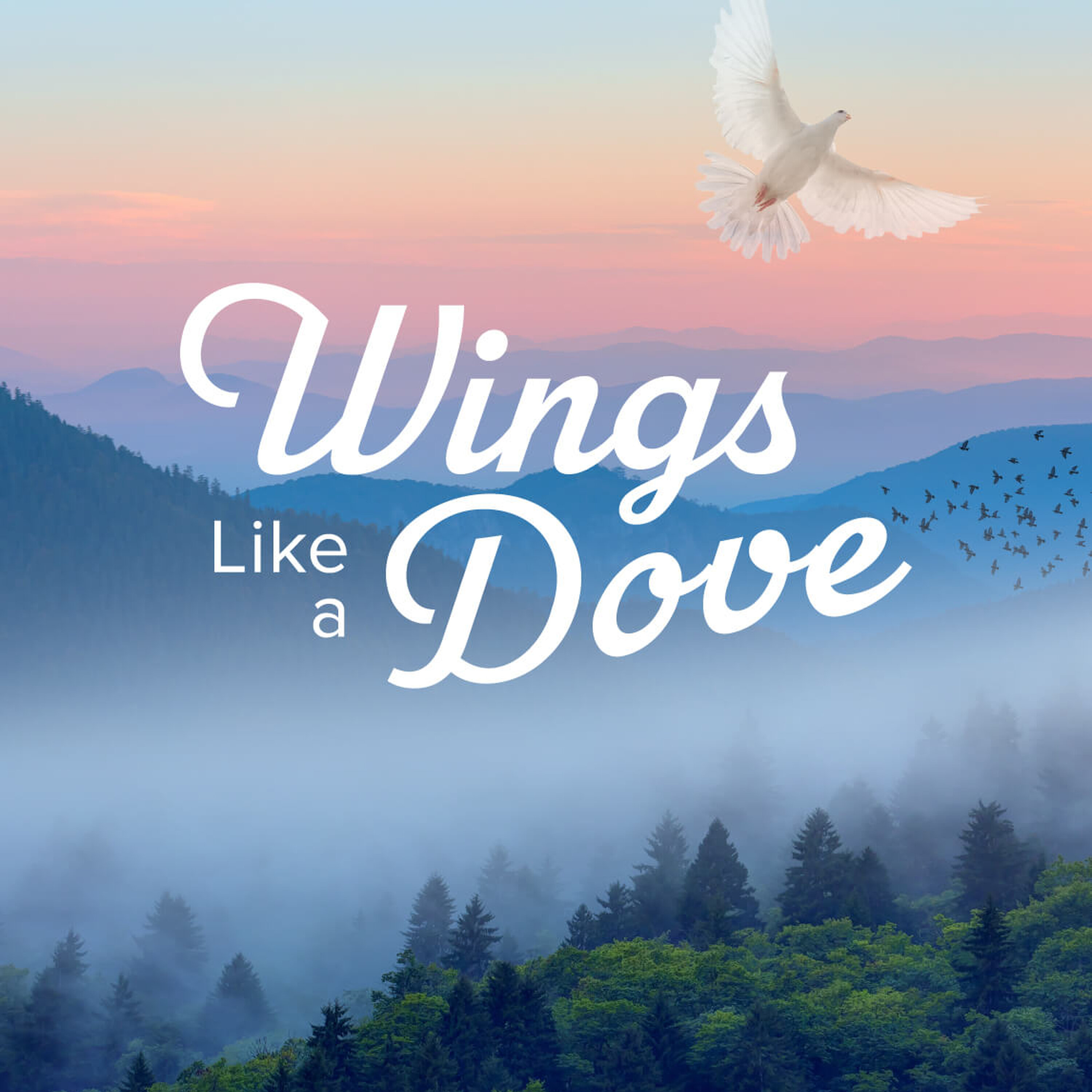 Wings Like a Dove Wings Like a Dove