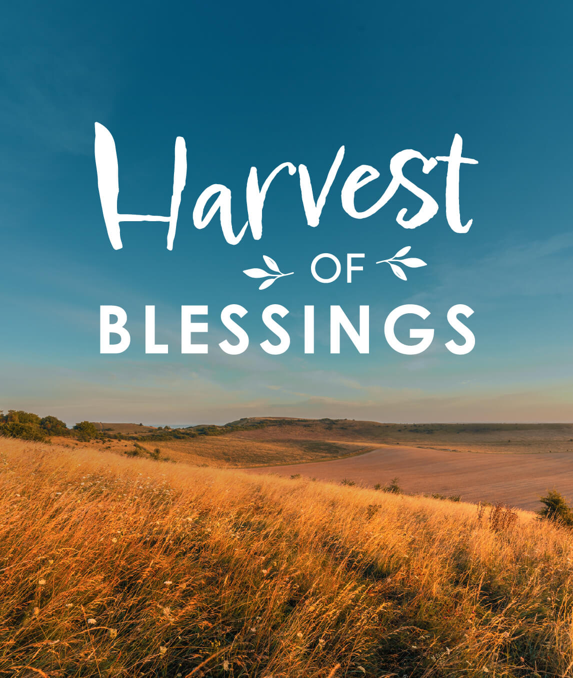 Harvest of Blessings