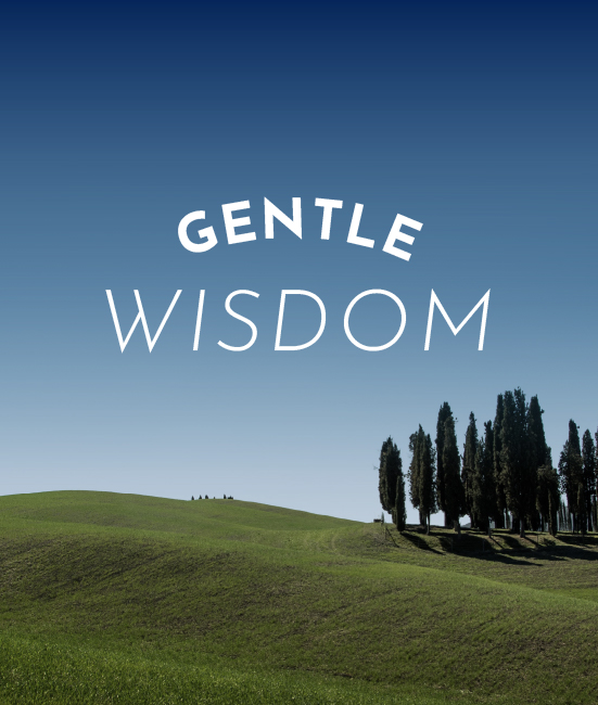 Gentle Wisdom