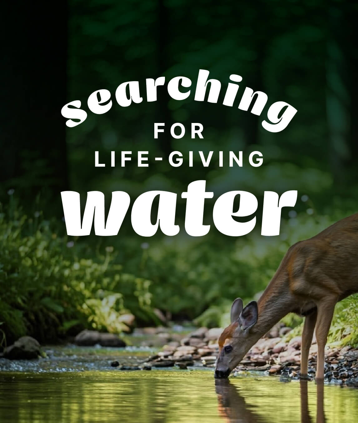 Searching for Life-giving Water