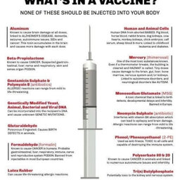 Informed Consent vs Mandatory Vaccines with Greg Glaser, J.D.