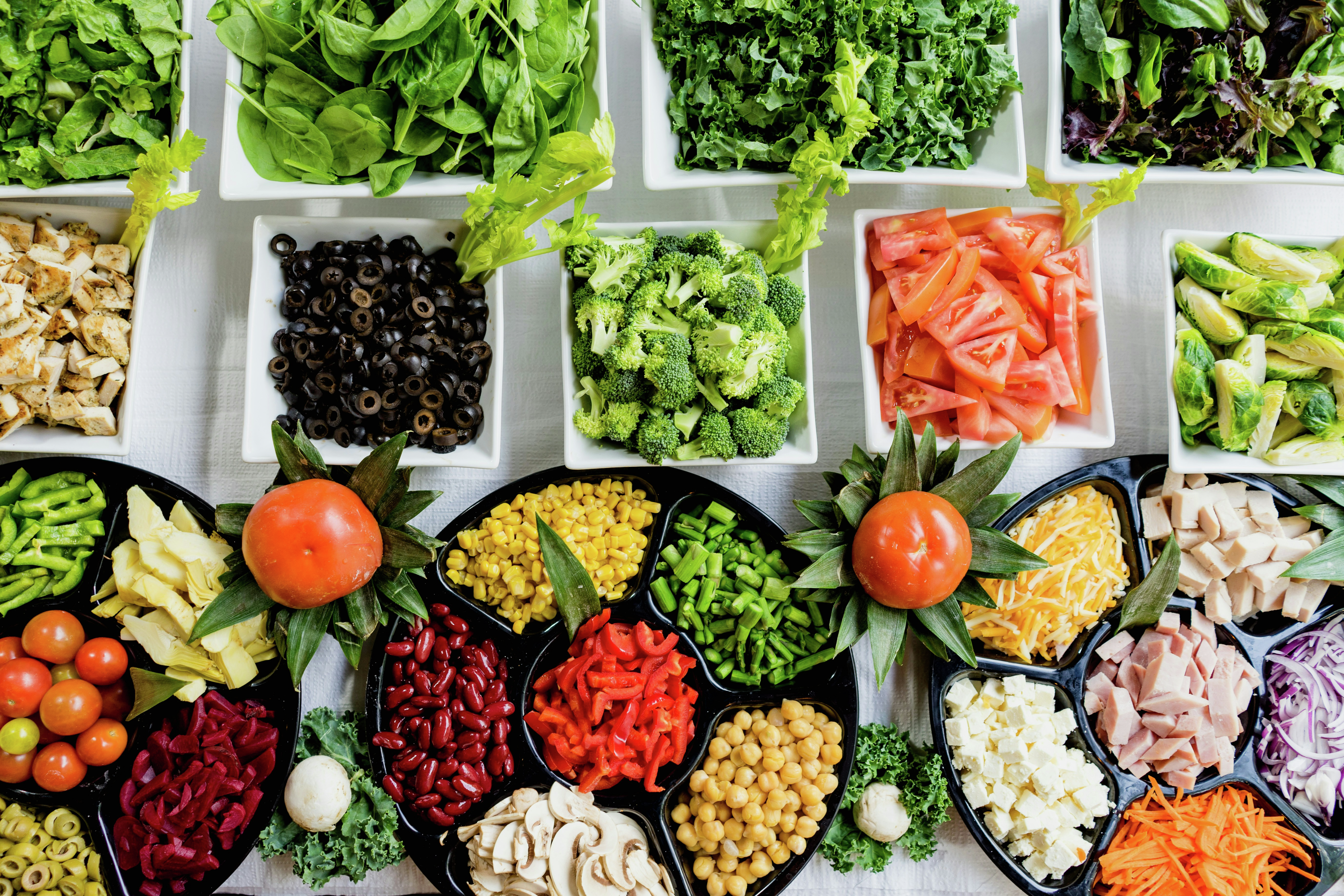 Dr. Michael Lange & David Snow: Nutrition for Longevity, Omega-3s & Superfoods episode artwork