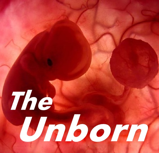 01-17-19 IT'S YOUR DIVINE DESTINY - THE UNBORN