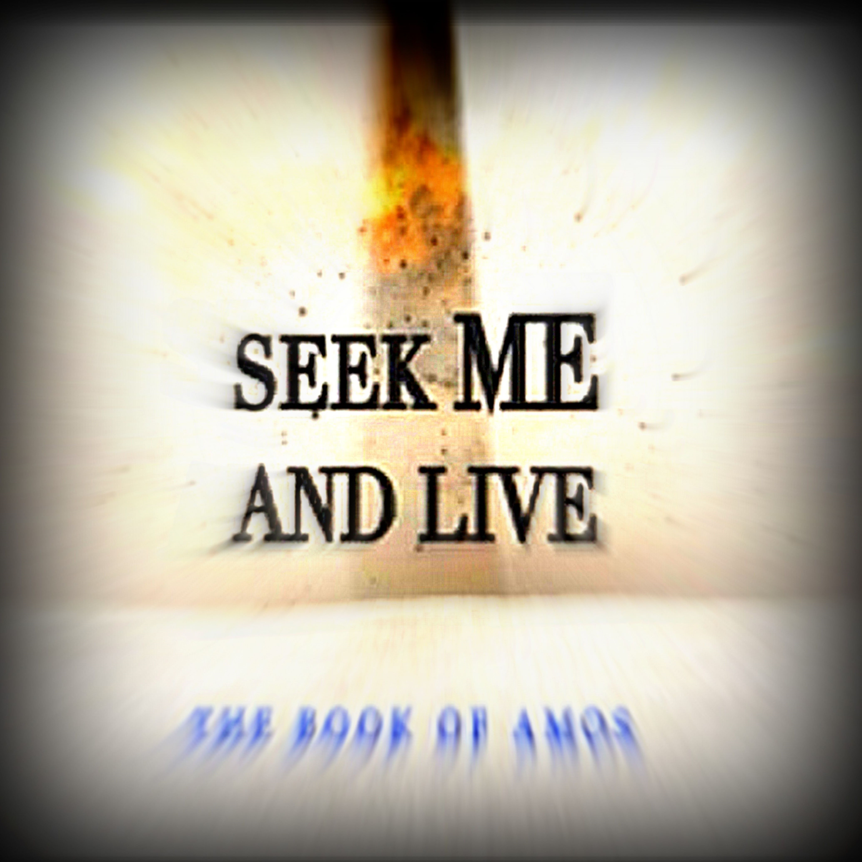 02-25-16  SEEK ME - Am I Last on Your List, or First Priority? - It's Your Divine Destiny