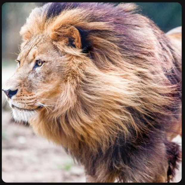05-07-26  Coming Out of Babylon - Courage for the direction that God leading you - Its Your Divine Destiny