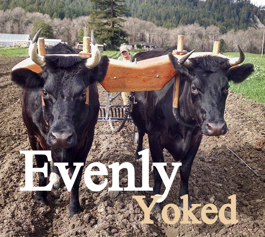 10-10-19 IT'S YOUR DIVINE DESTINY - EVENLY YOLKED