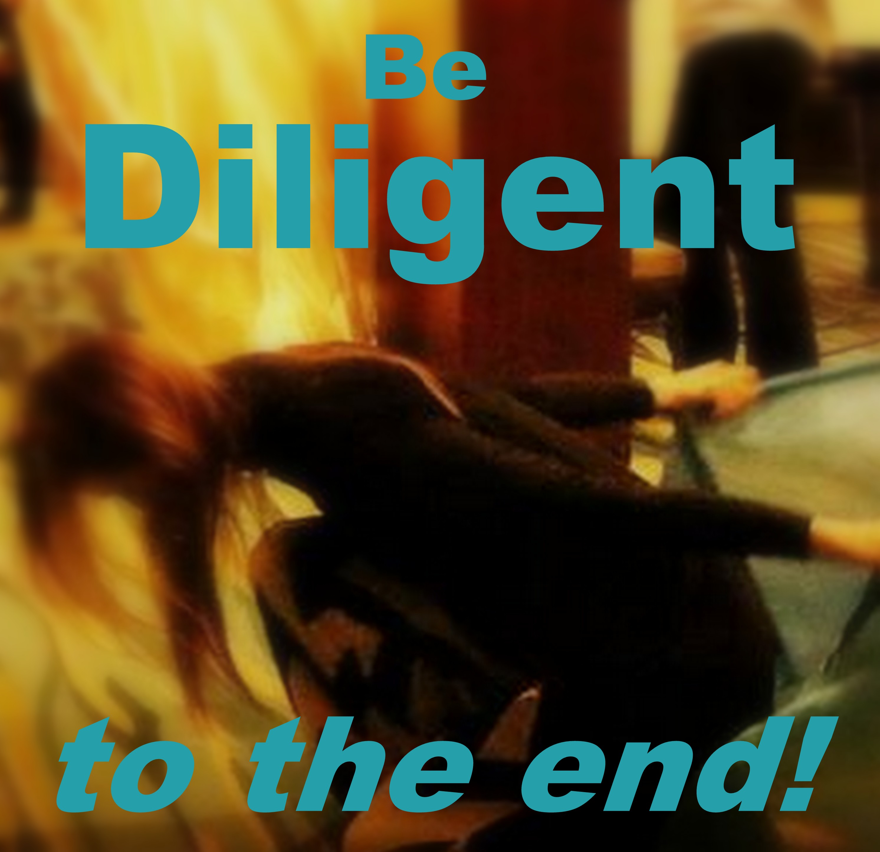 12 - 15 - 16  IT'S YOUR DIVINE DESTINY - BE DILIGENT TO THE END