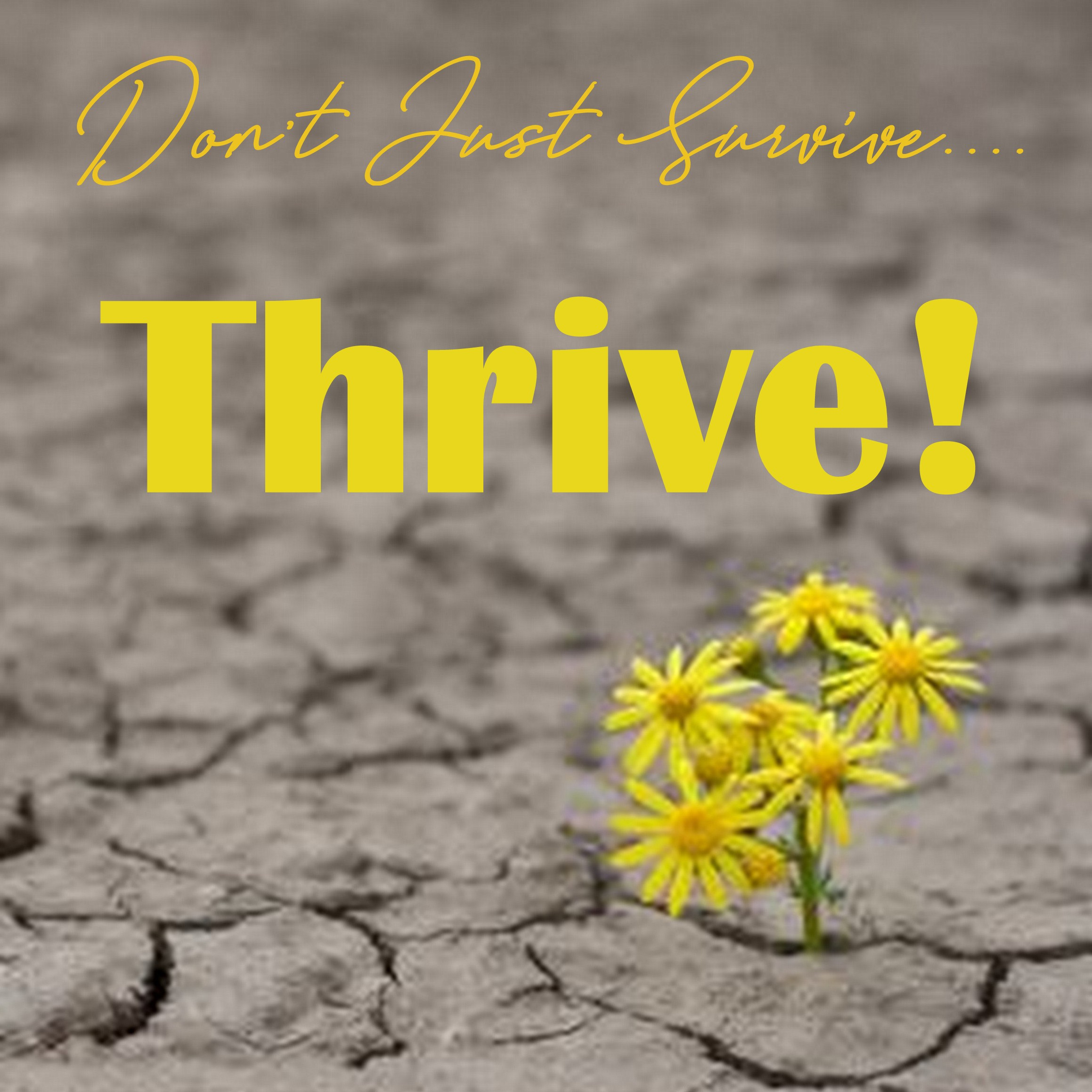 10- 05-17   BEWARE -Don't Follow Signs & Wonders - Thrive! w/ Cherish Love - It's Your Divine Destiny