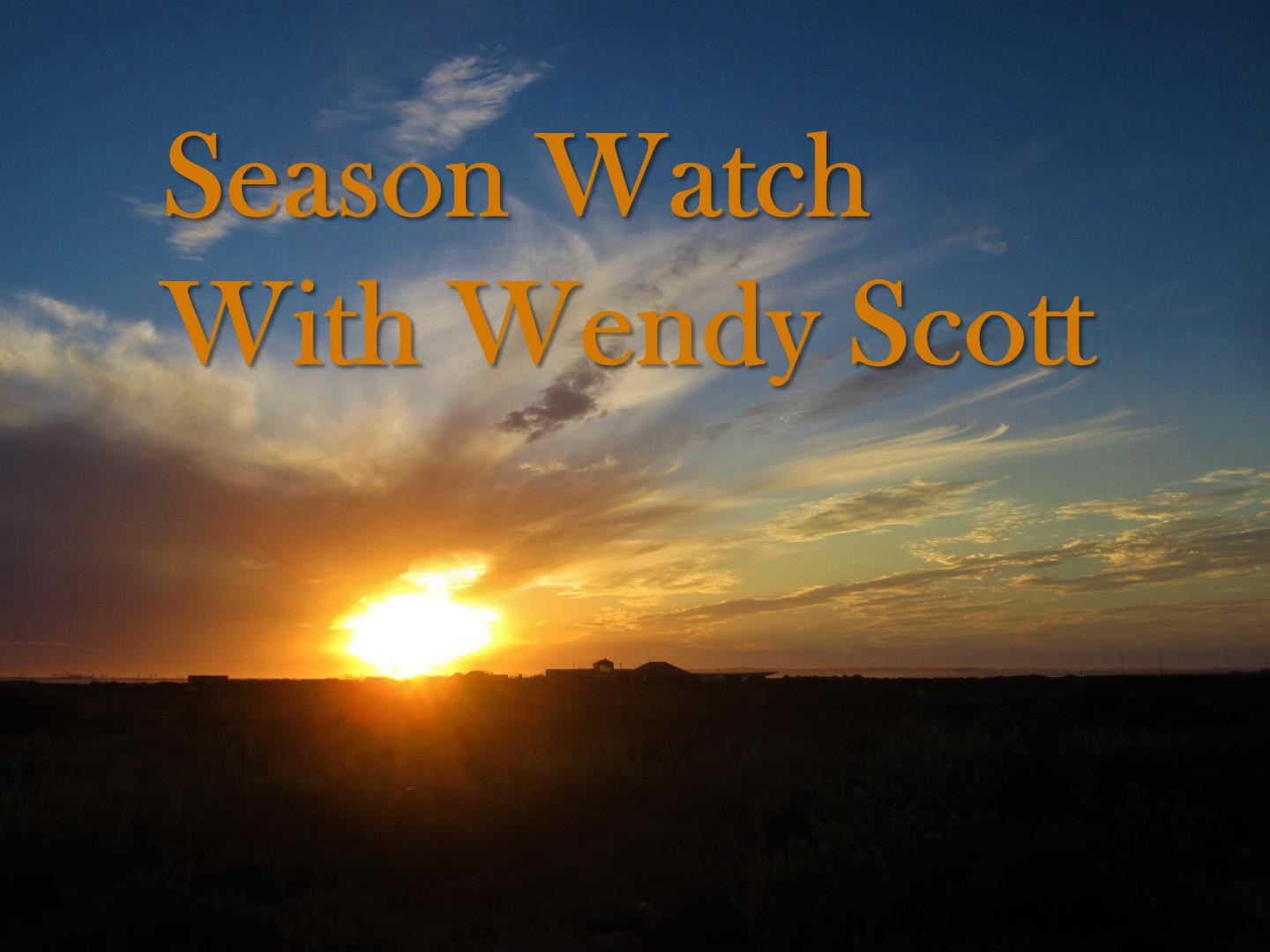 Season Watch | Saturday episode artwork