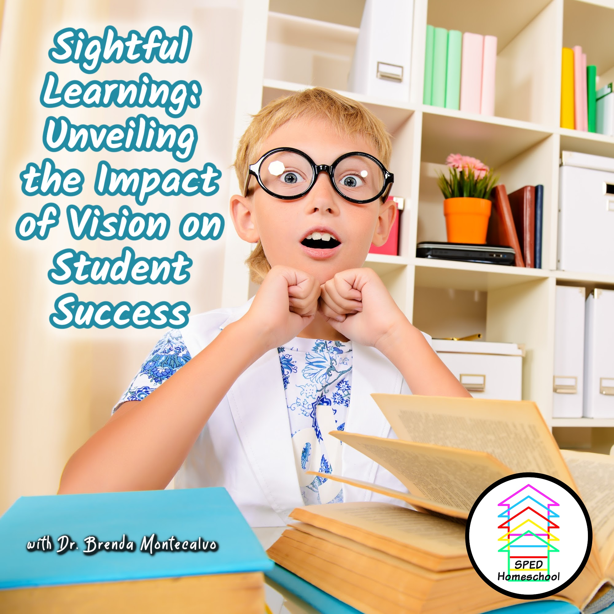 Sightful Learning: Unveiling the Impact of Vision on Student Success
