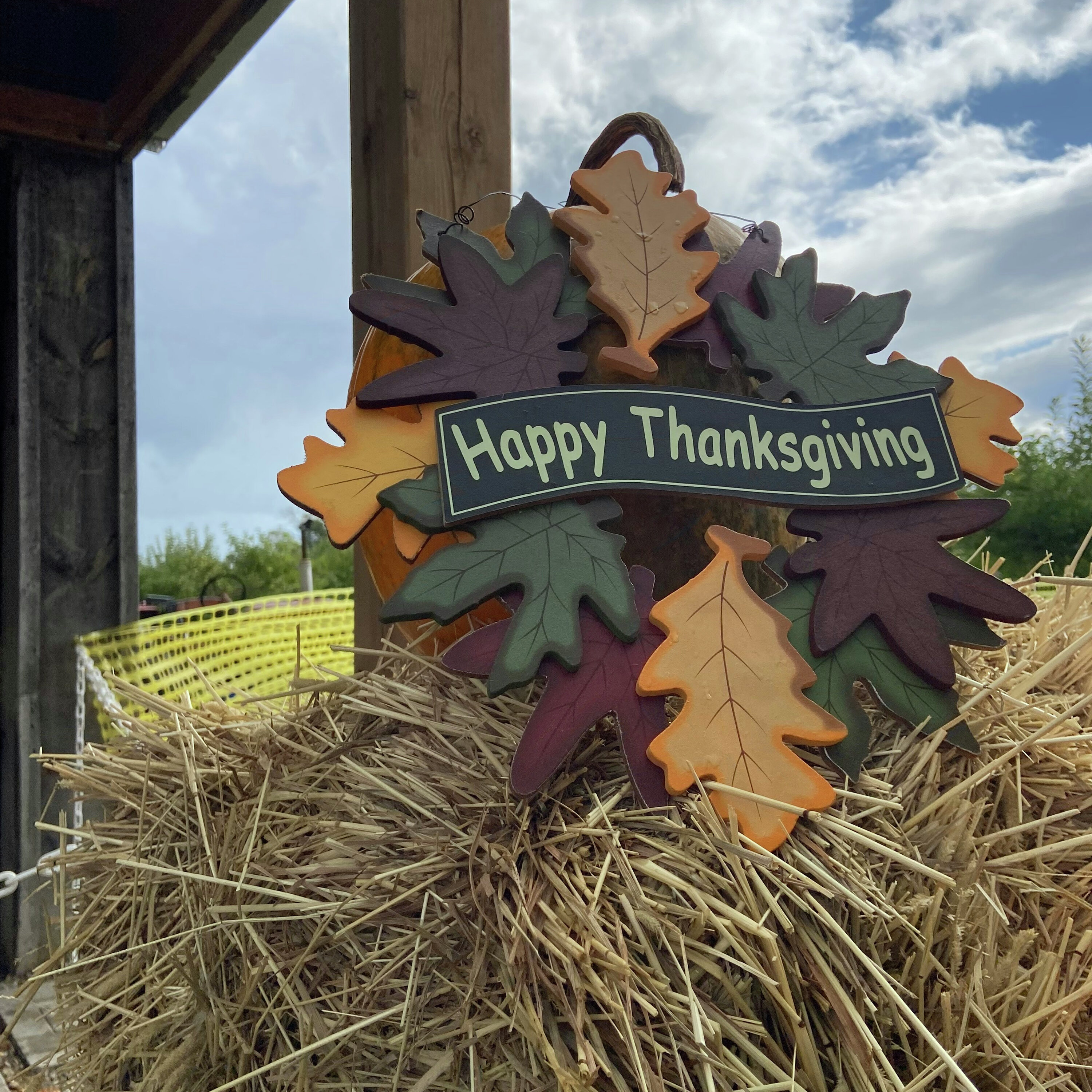 Thanksgiving Eve Briefing: Gratitude in Wartime, Presidential Proclamations, and Tragedy in the Nation’s Capital episode artwork