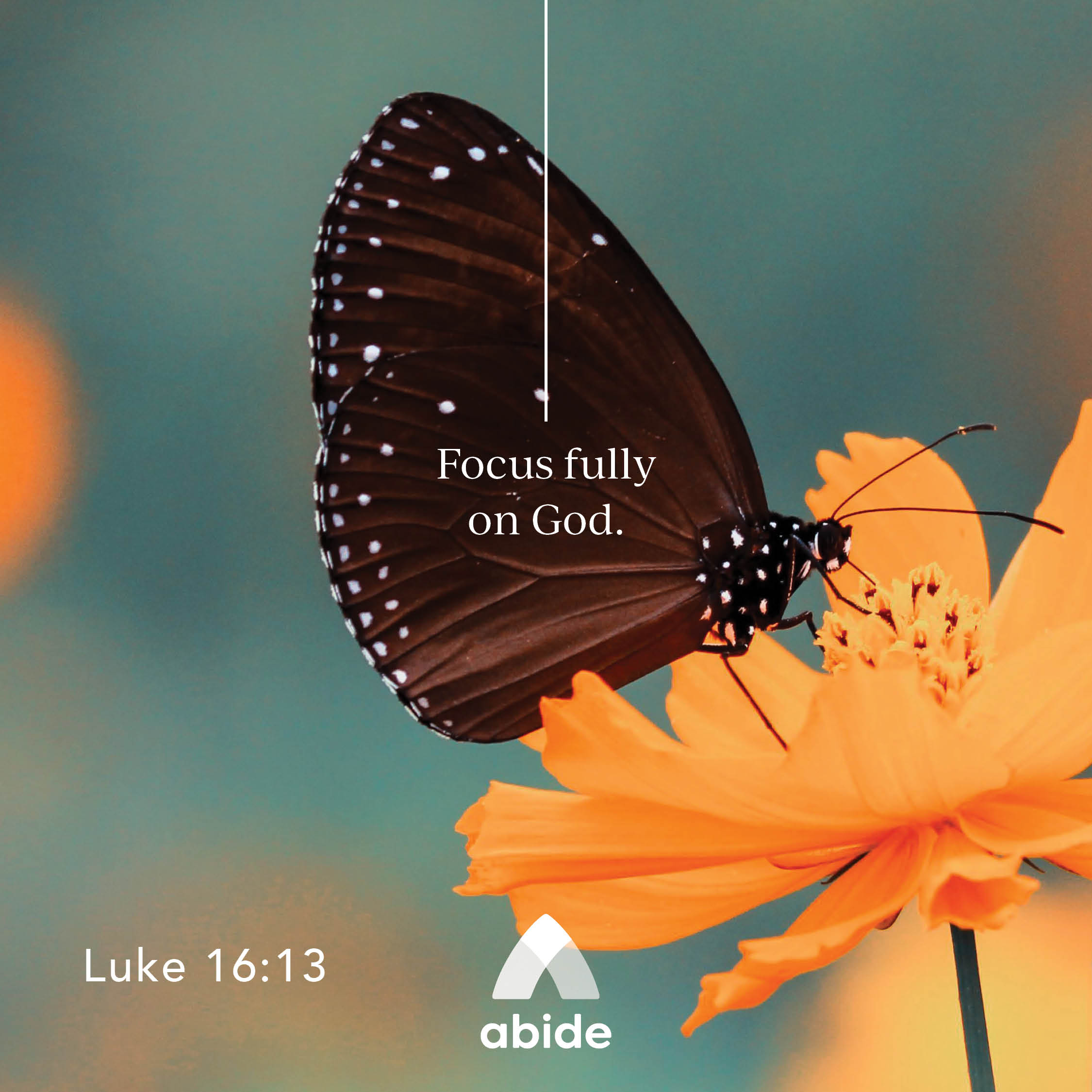 Abide Christian Meditation