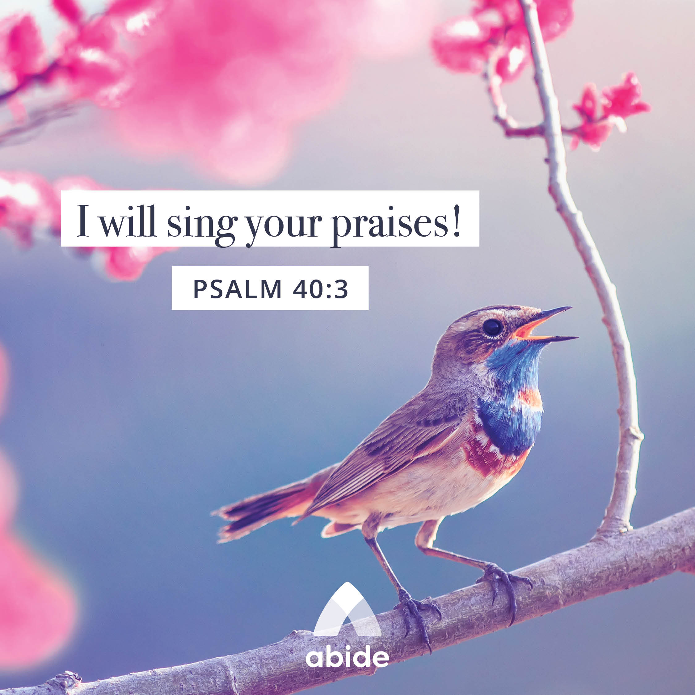 Abide Christian Meditation