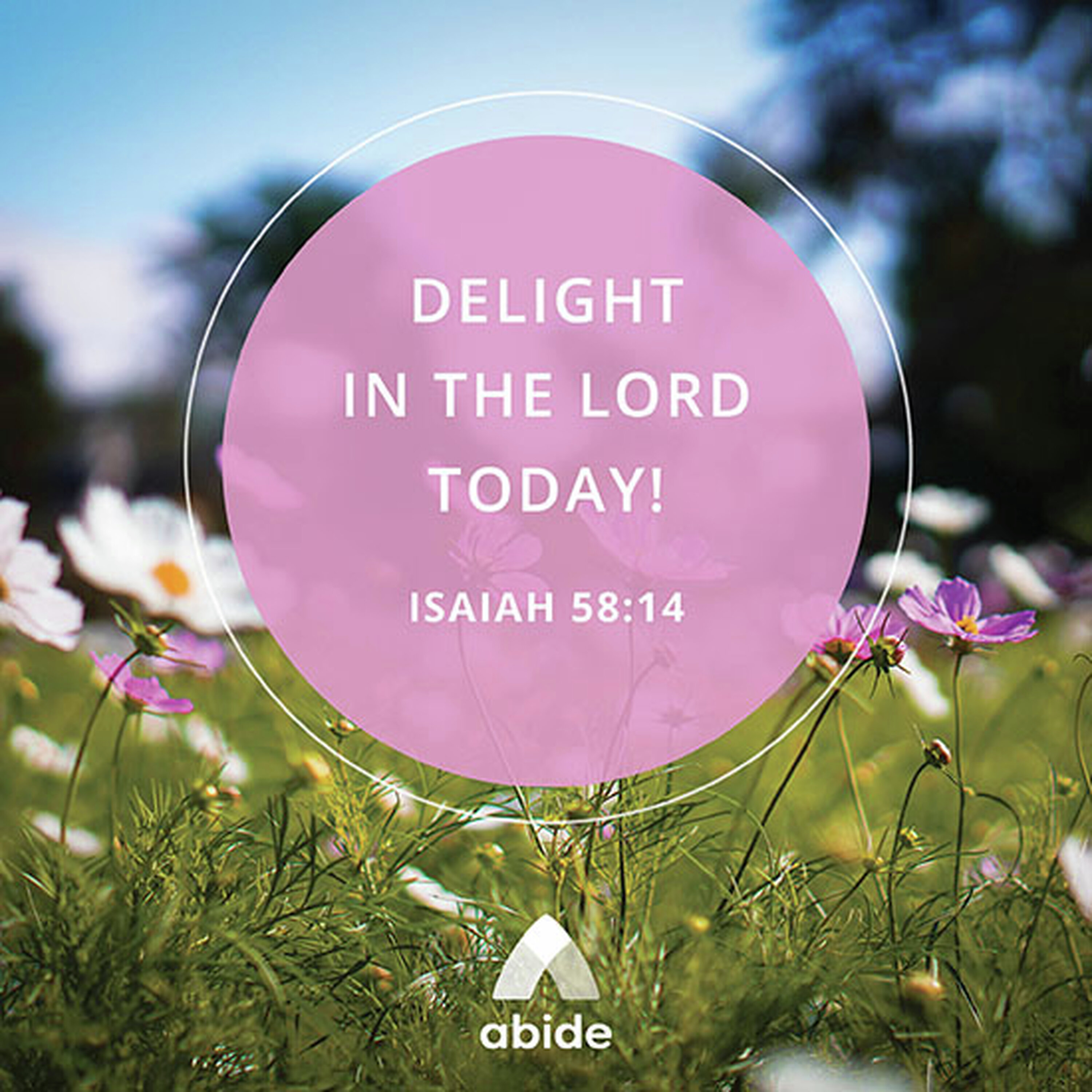 Delight in God episode artwork