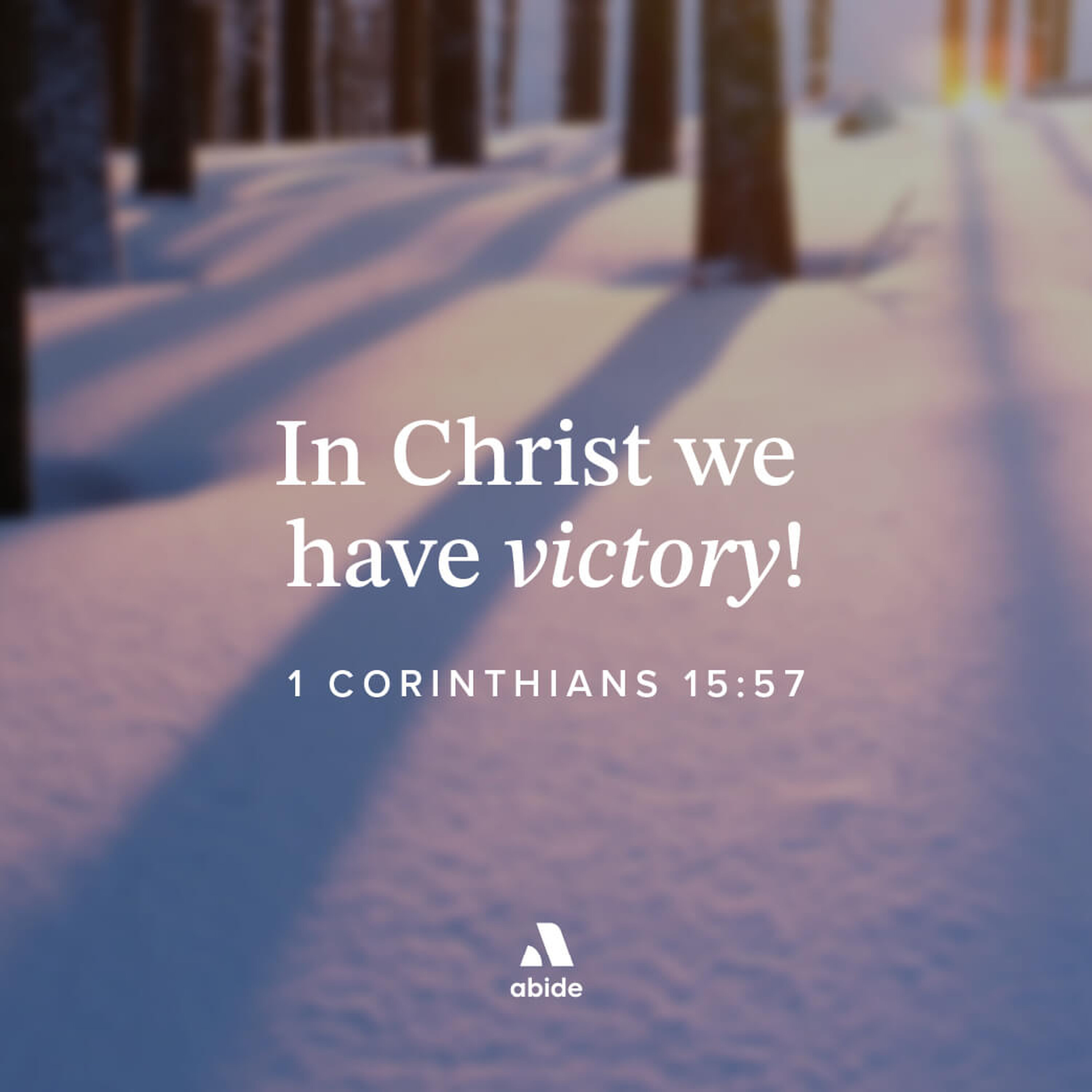 In The Twinkling of an Eye In The Twinkling of an Eye