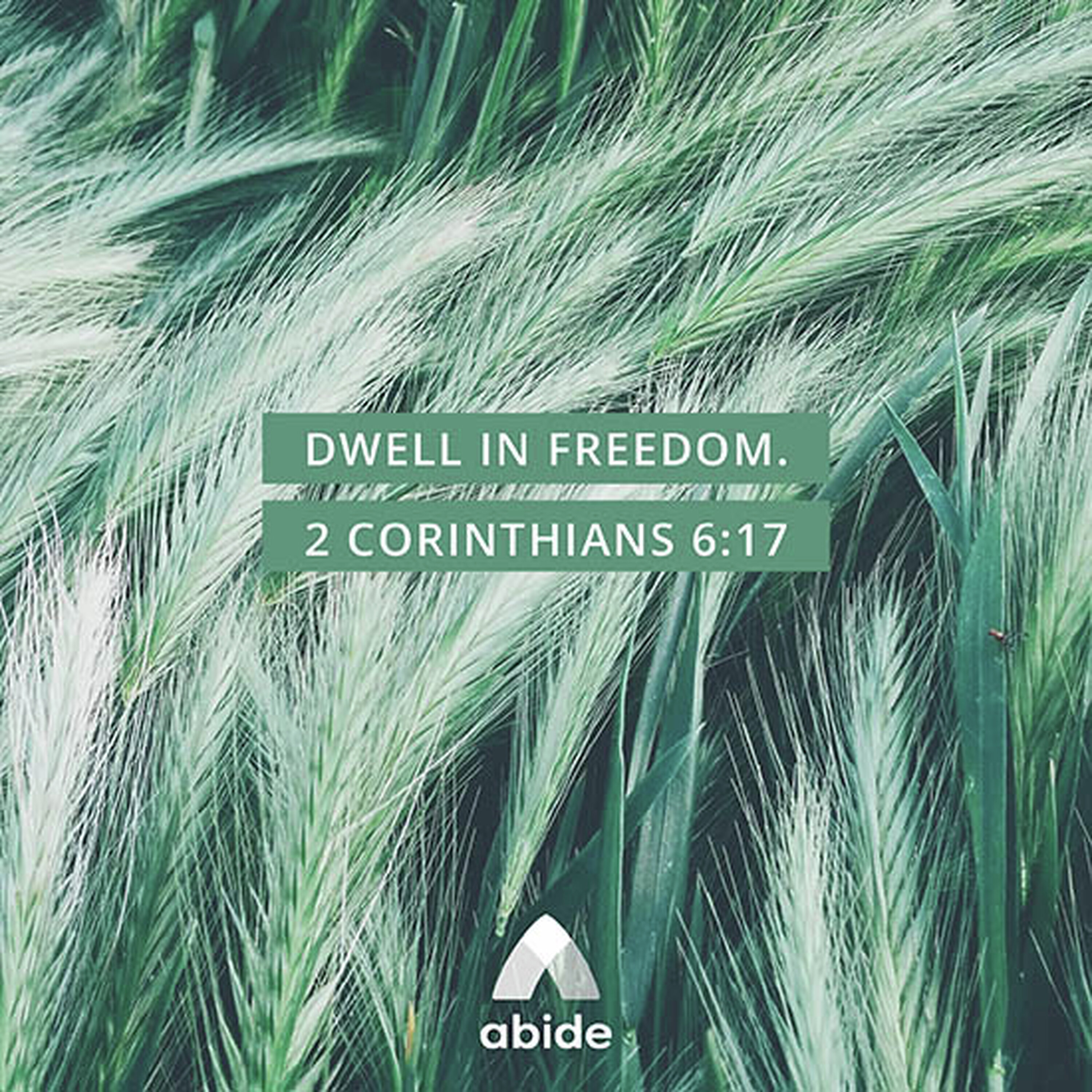 Choosing to Dwell in Freedom Choosing to Dwell in Freedom