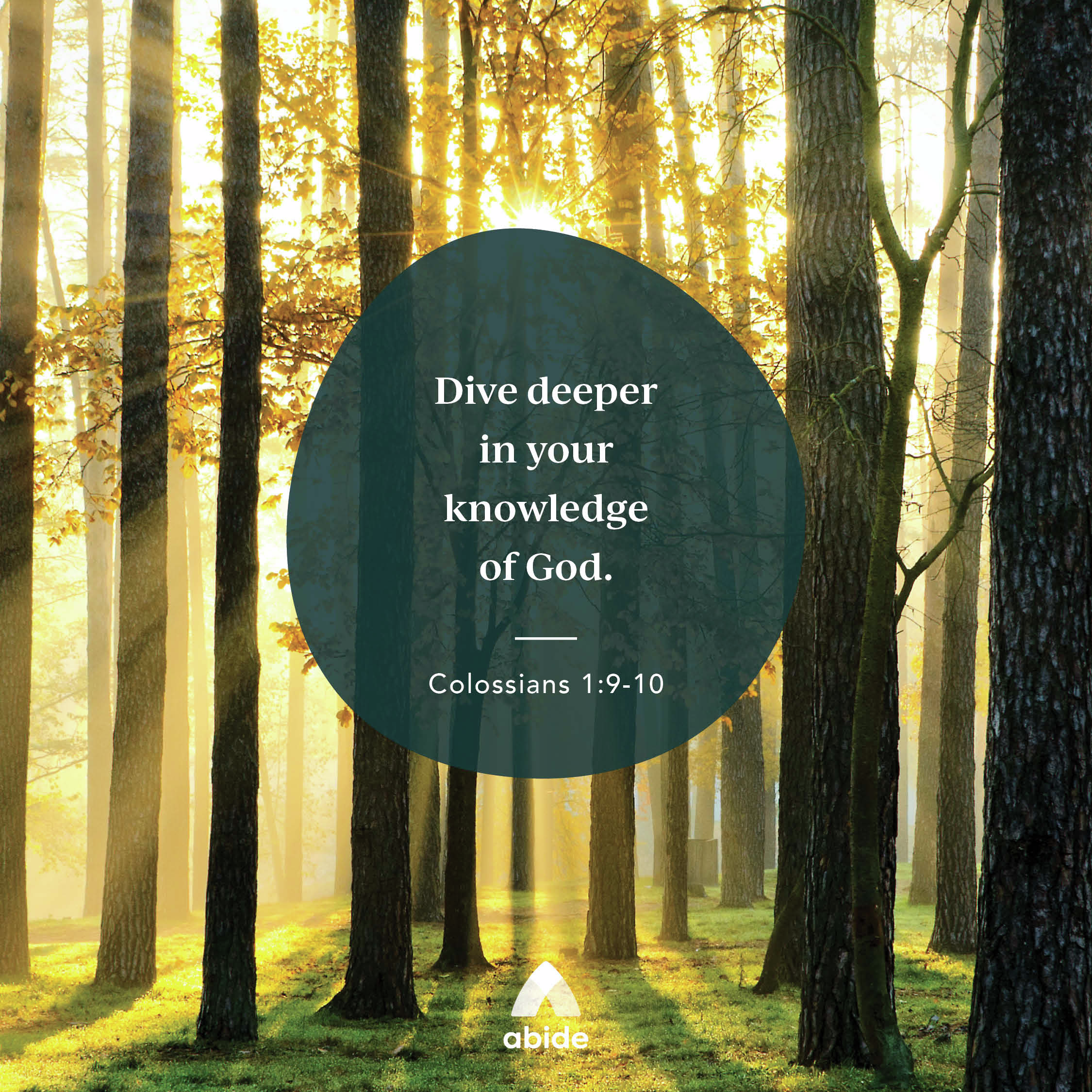 Abide Christian Meditation