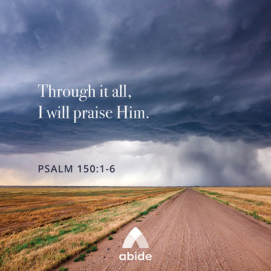 Praise For All Seasons