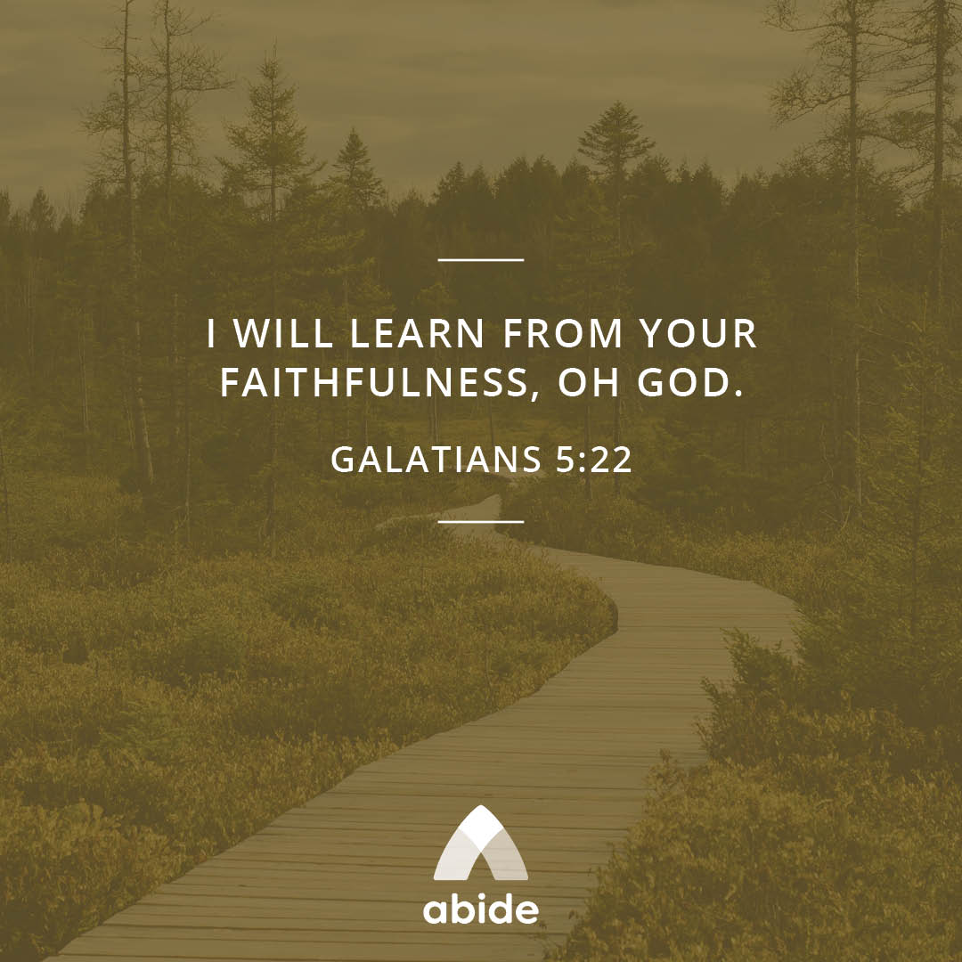Abide Christian Meditation
