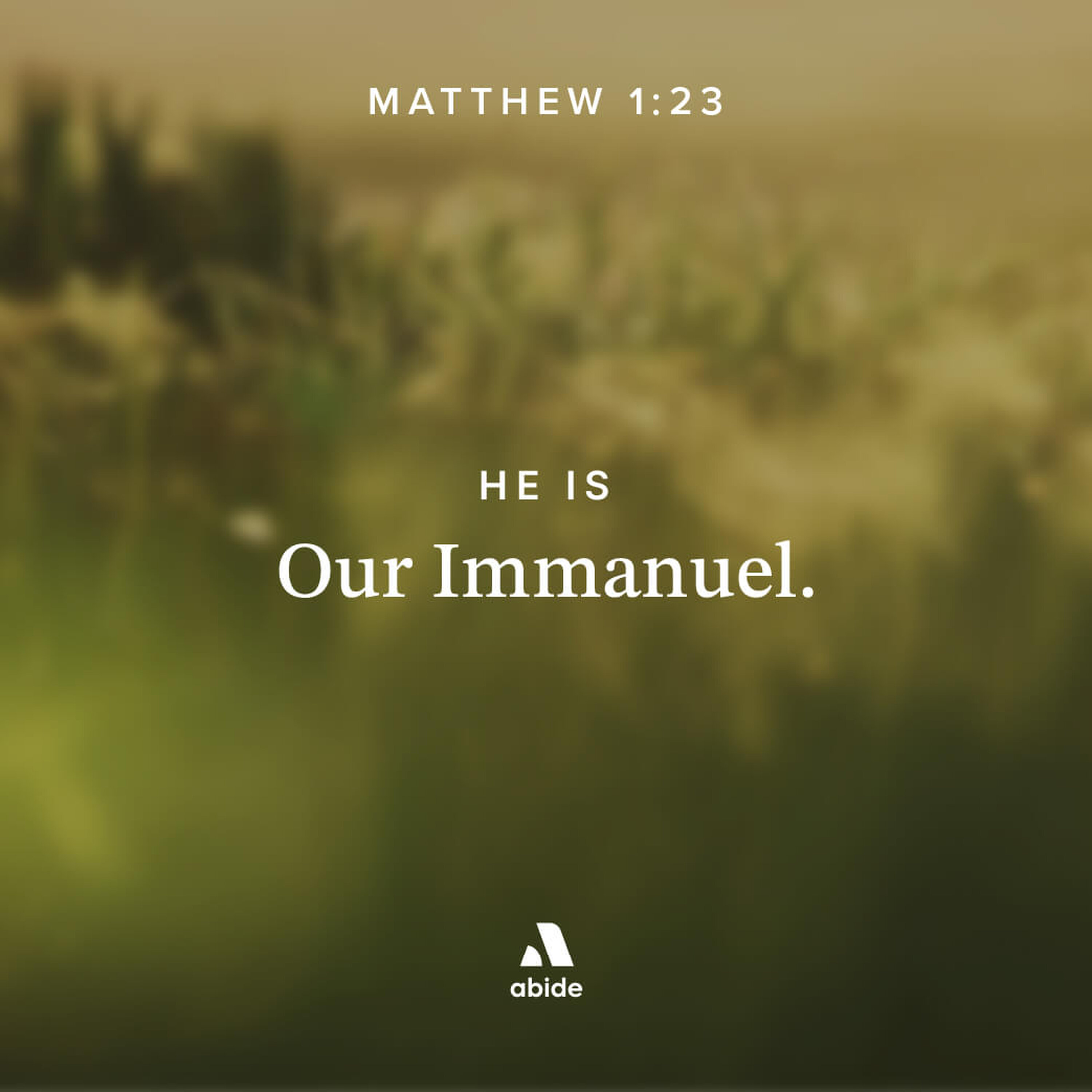 Jesus: Immanuel Jesus: Immanuel