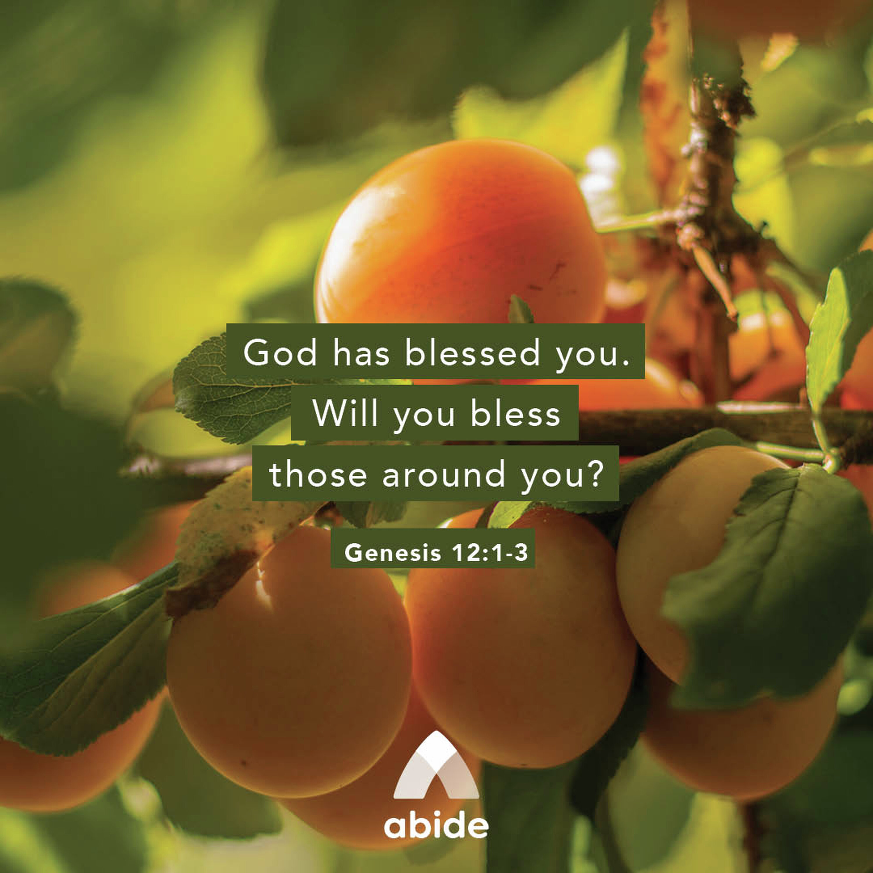 Blessed to be a Blessing Blessed to be a Blessing