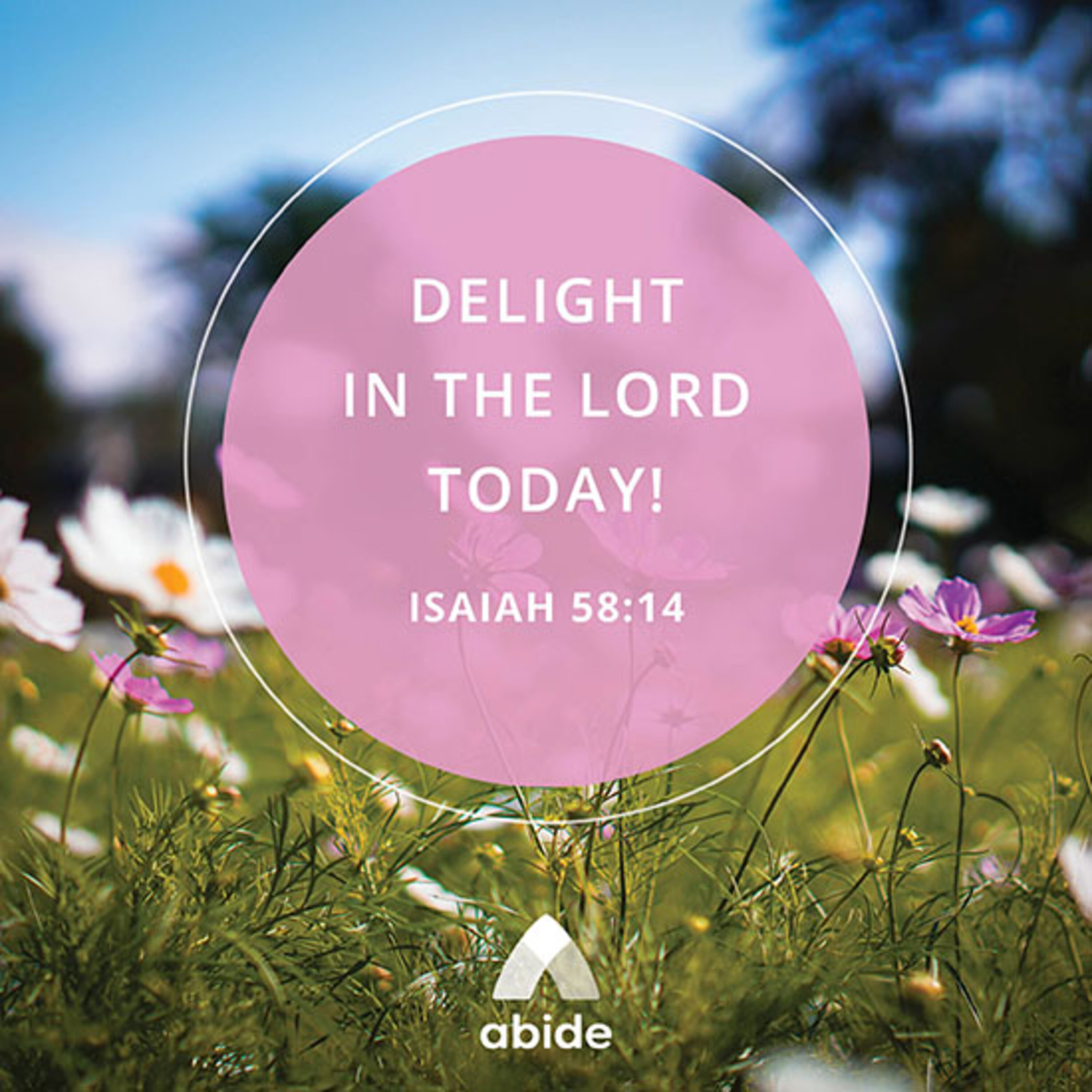 Delight In God