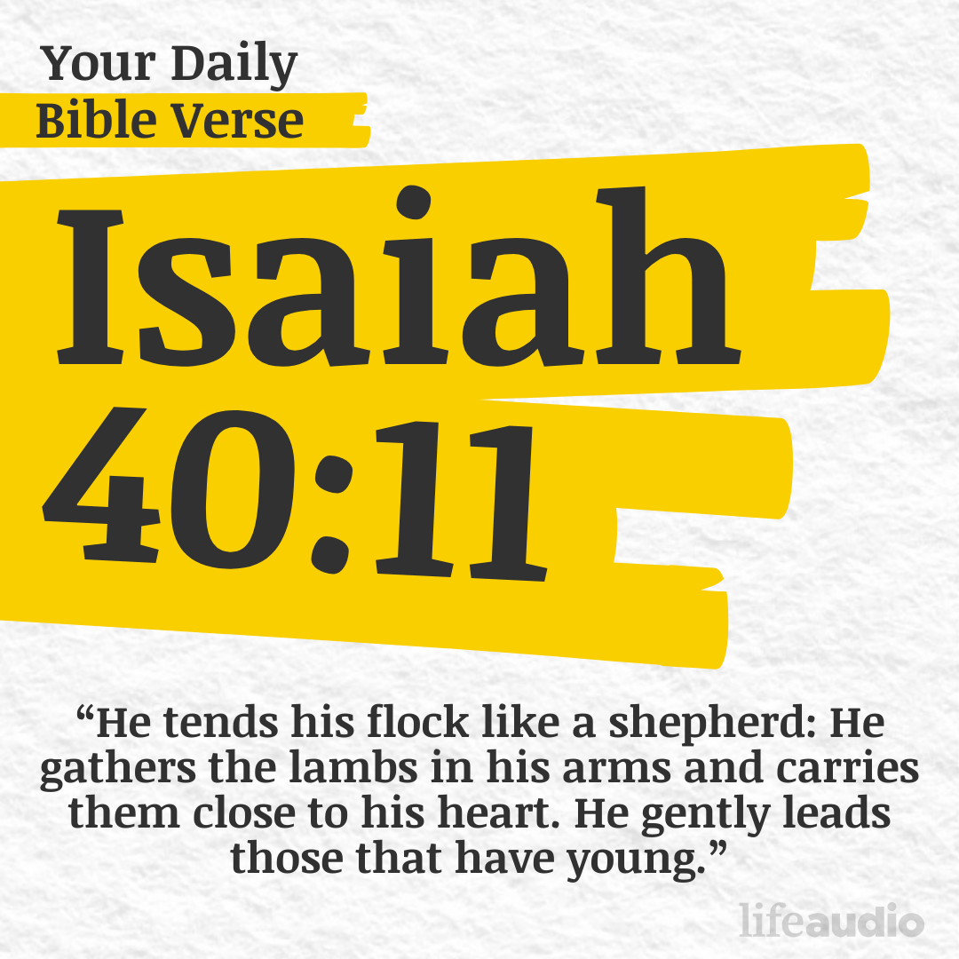 Understanding the Shepherd's Care for You - (Isaiah 40:11)