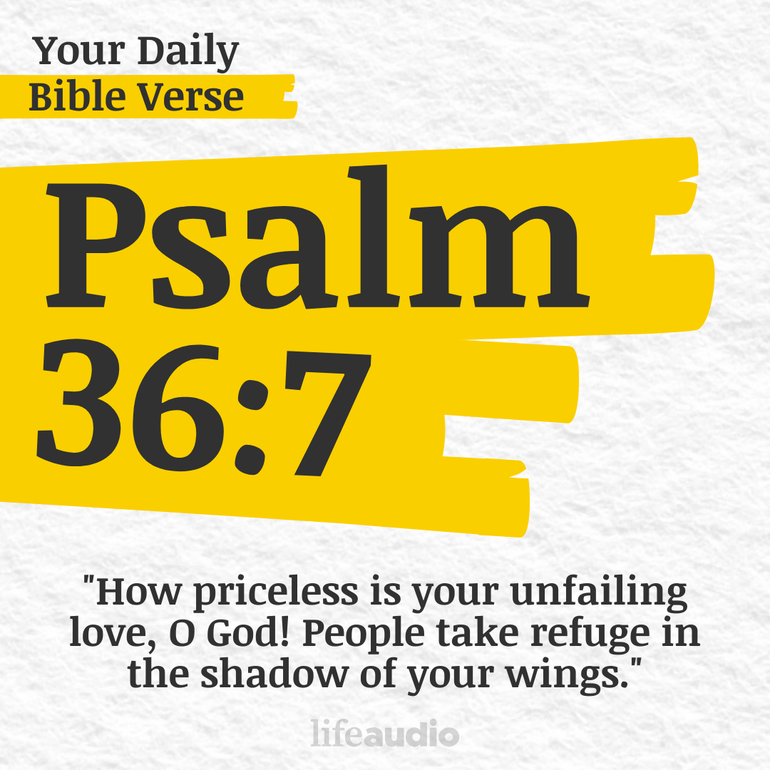 Finding Refuge in God Alone (Psalm 36:7)