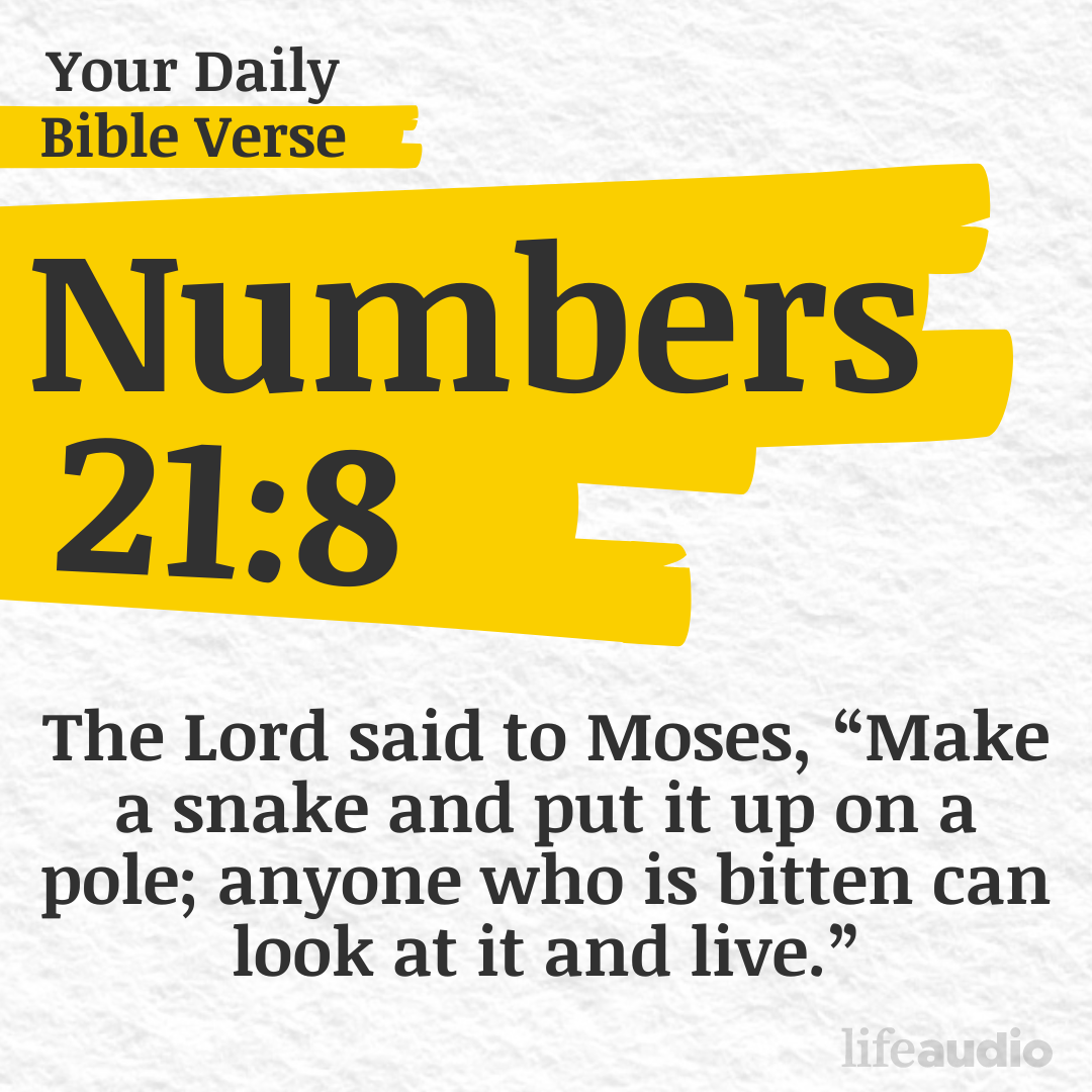 What's the Antidote to the Venom of Sin in Your Life? (Numbers 21:8)