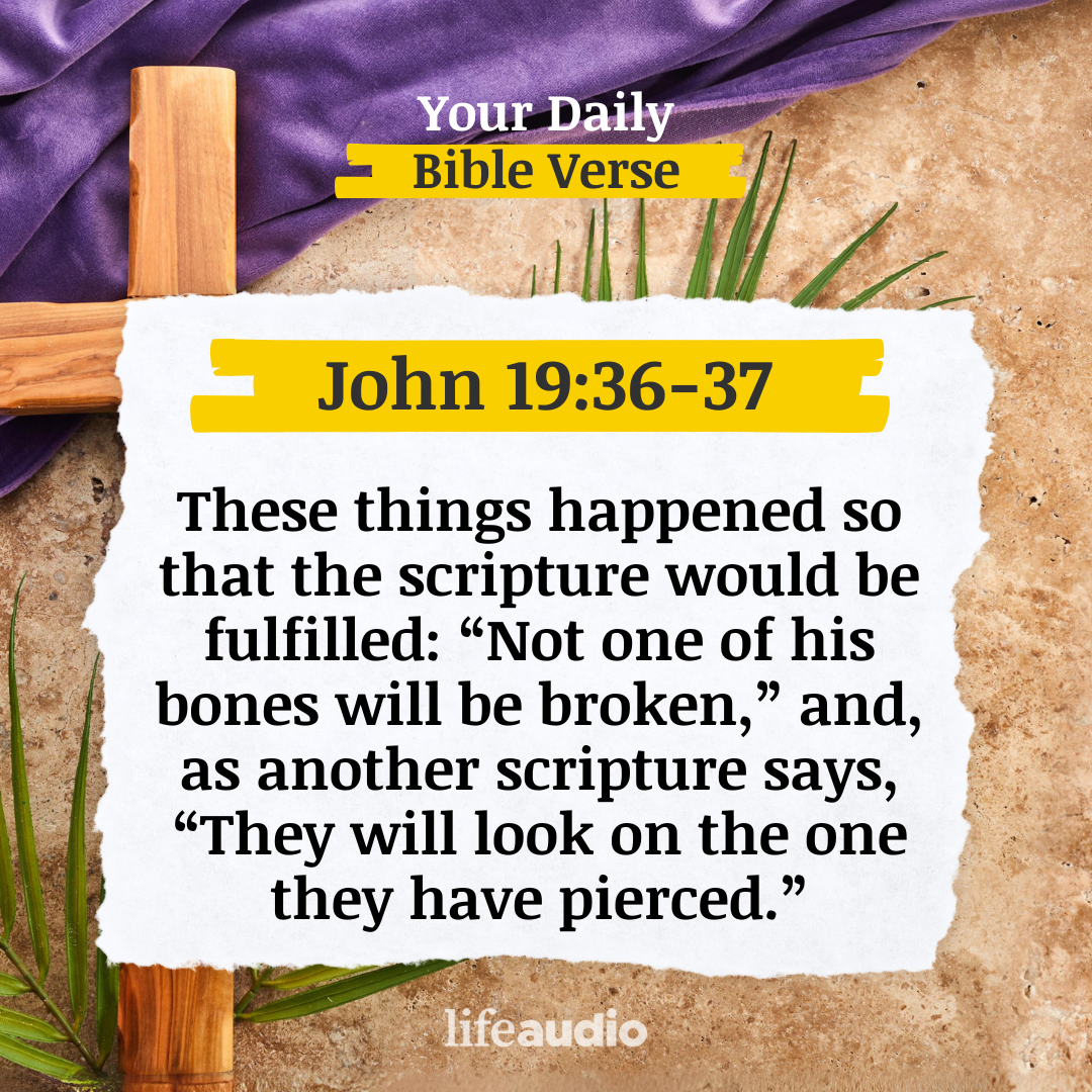 Lent - The Stabbing Pain Not Felt (John 19:36-37)