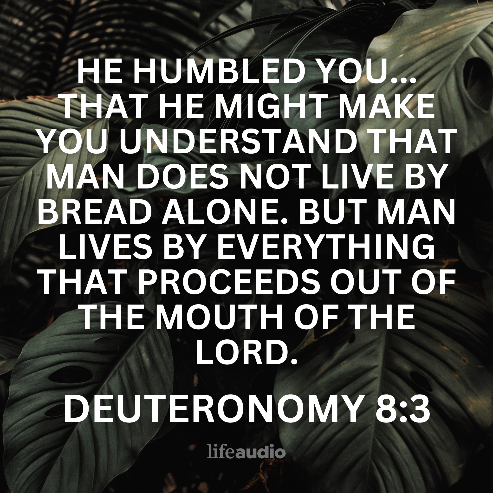 When Physical Needs Lead to Deeper Provision (Deuteronomy 8:3)