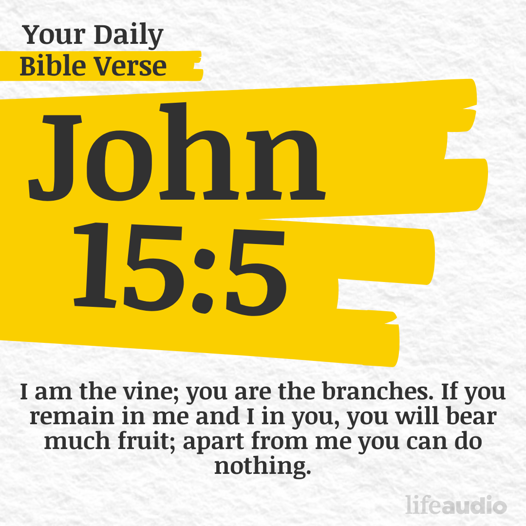 You Have One Job (John 15:5)