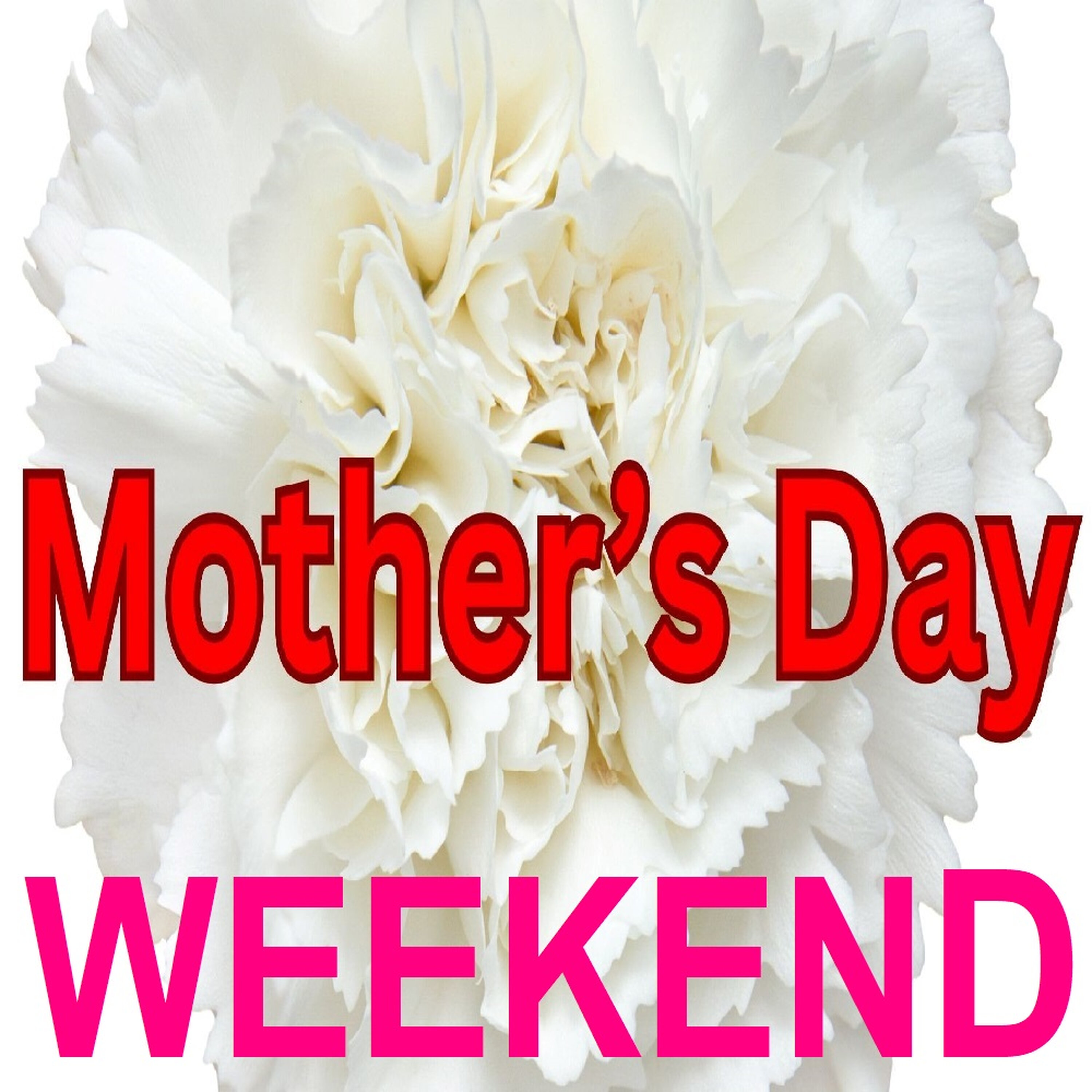 Pocahontas (Mother's Day Weekend SPECIAL)