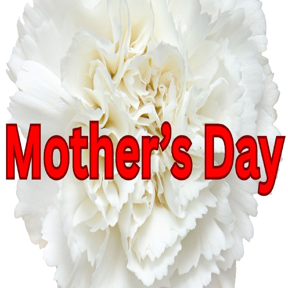 Anne Hutchinson (Mother's Day SPECIAL)
