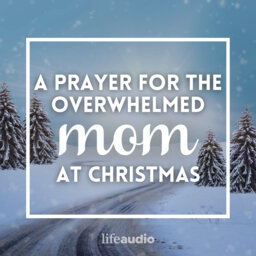 A Prayer for the Overwhelmed Mom at Christmas
