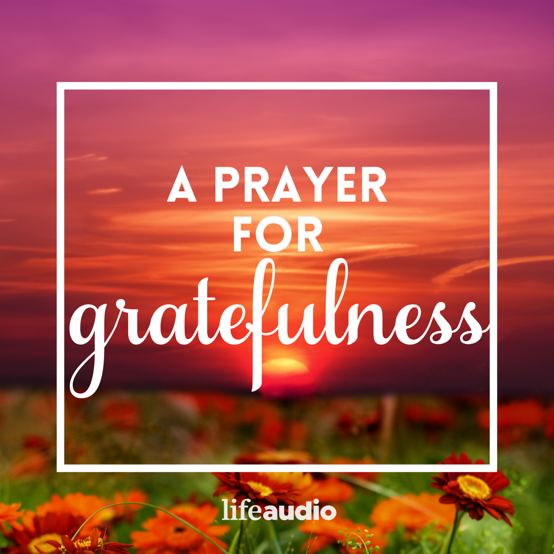 A Prayer for Gratefulness