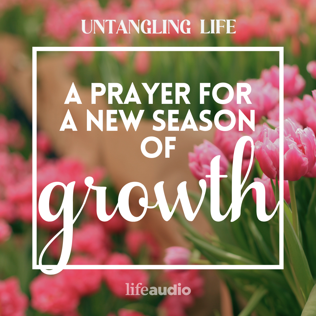 A Prayer For A New Season of Growth