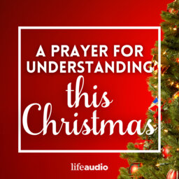 A Prayer for Understanding This Christmas