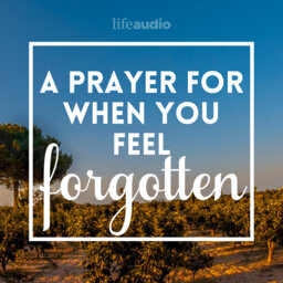 A Prayer for When You Feel Forgotten