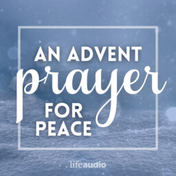 An Advent Prayer for Peace