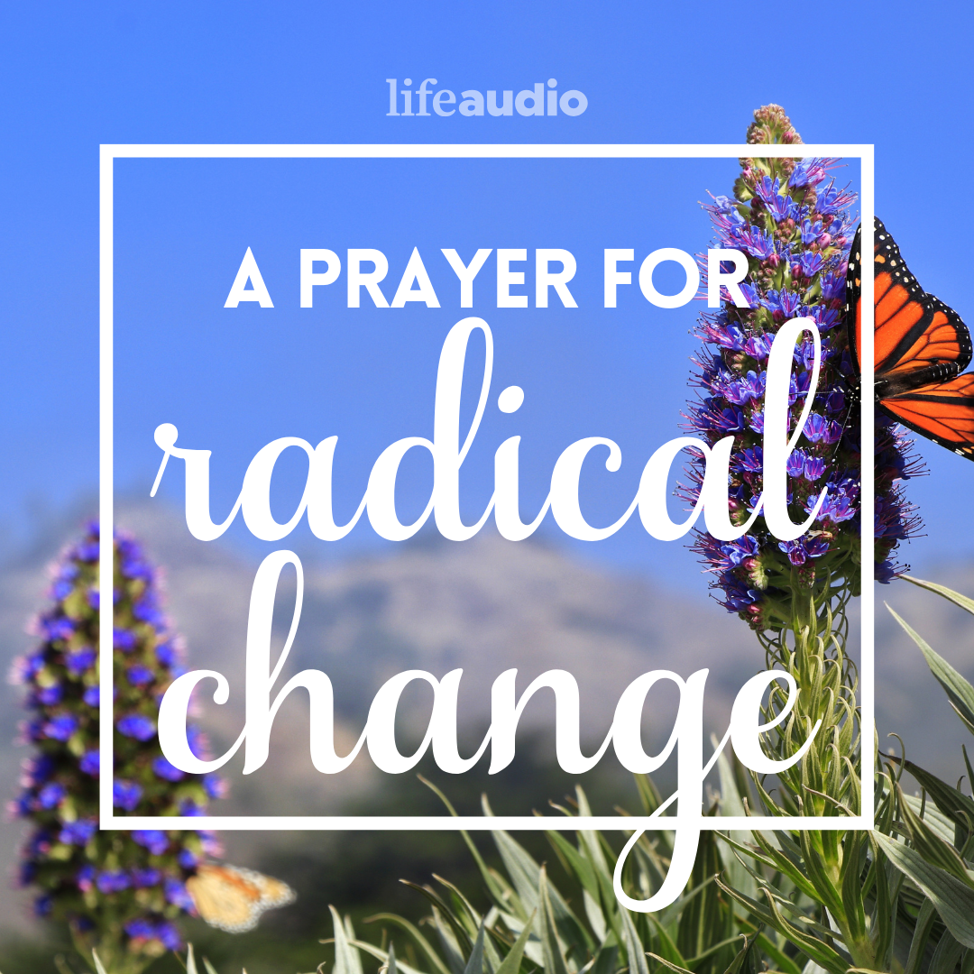 A Prayer for Radical Change