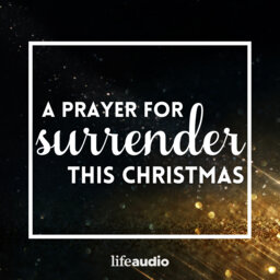 A Prayer for Surrender This Christmas